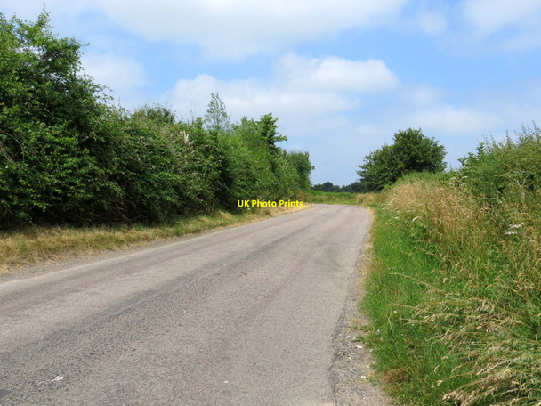 Photo 6"x4" The road to Boarstall Boarstall c2013