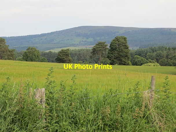 Photo 6"x4" View towards Hill of Fare Banchory\/NO6995 c2013