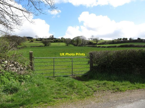 Photo 6"x4" Fields above Carrive Road Forkhill c2013