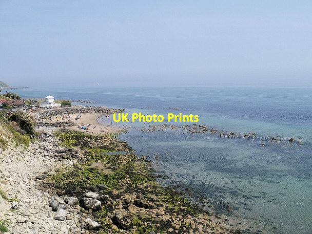 Photo 6"x4" View from the Coastal Path at Ventnor Botanic Garden Ventnor c2013