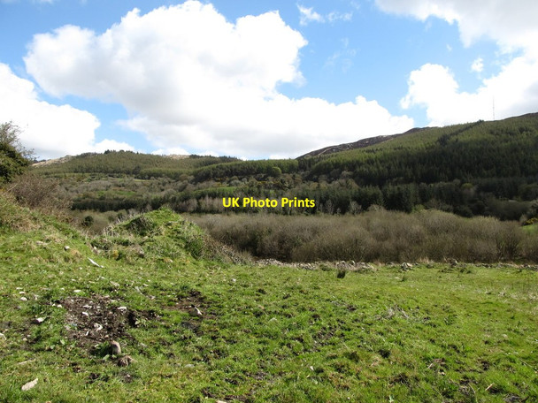 Photo 6"x4" View north across rough grazing towards woodlands on Slievebrack Forkhill c2013