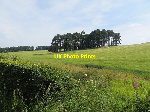 Photo 6"x4" Arable land, Pitcairlie Grange of Lindores c2013