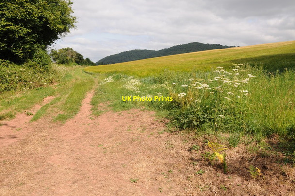 Photo 6"x4" Wye Valley Walk at Old Cstleton Clock Mills c2013