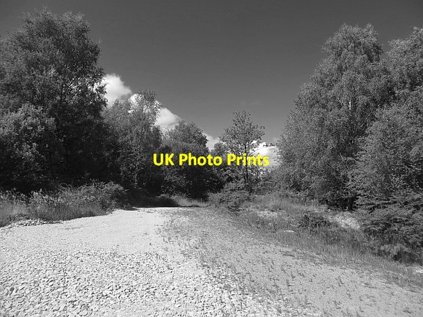 Photo 6"x4" Logging road, Dalbeattie Forest Dalbeattie c2013