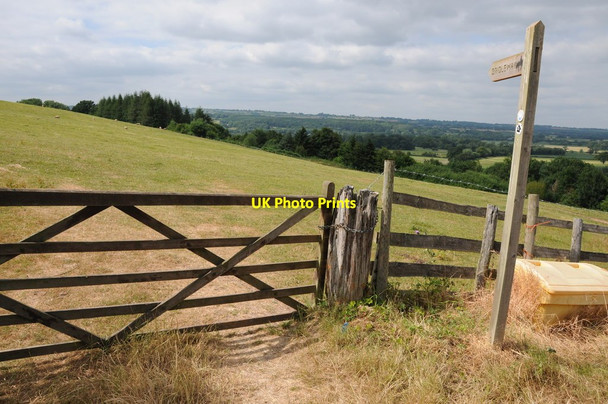 Photo 6"x4" The Wye Valley Walk Pen-y-Park c2013