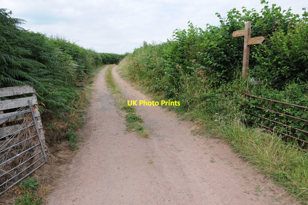 Photo 6"x4" Wye Valley Walk, Middlewood Clock Mills c2013