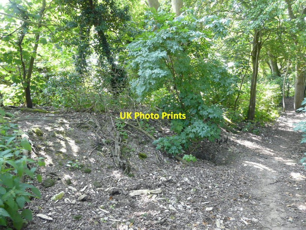 Photo 6"x4" Former railway embankment Elvington\/TR2750 c2013