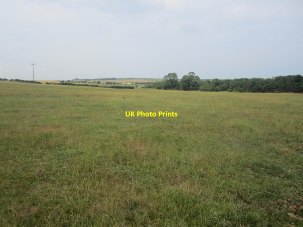 Photo 6"x4" Grass field at Fenwick Stead Fenwick\/NU0640 c2013