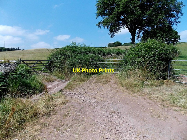 Photo 6"x4" Three gates near Llanstephan Church Llanstephan c2013