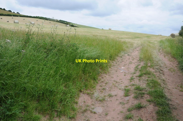 Photo 6"x4" Entrance to a hay field Dorstone\/SO3141 c2013