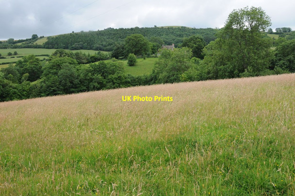 Photo 6"x4" Farmland above Hardwicke Archenfield c2013
