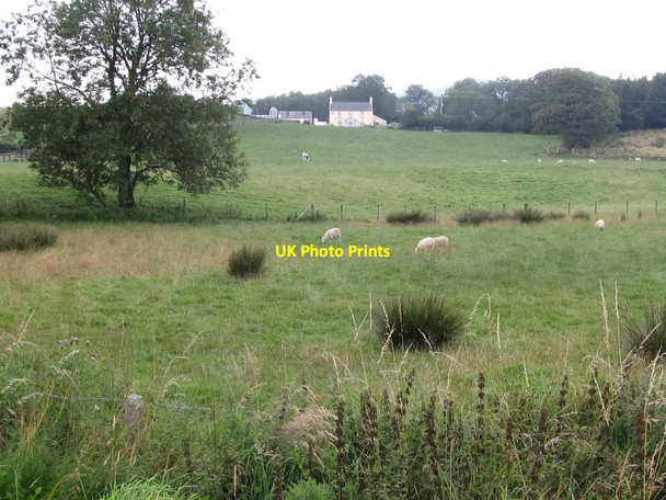 Photo 6"x4" Grazing land east of Herons Road Ballyward c2011