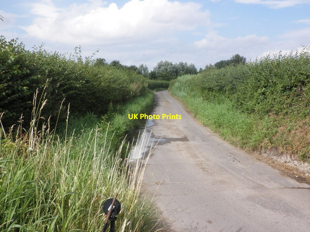 Photo 6"x4" Yearmoor Lane Stolford\/ST2345 c2013