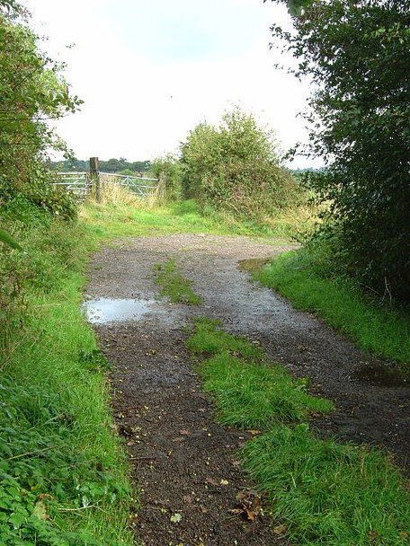 Photo 6"x4" Bridleway from Locko Park to Oakwood Cherrytree Hill c2008 P1