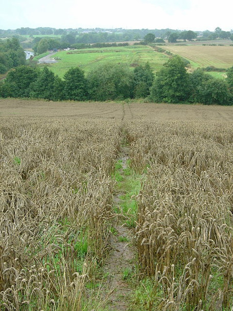 Photo 6"x4" Footpath from Spondon Cherrytree Hill c2008