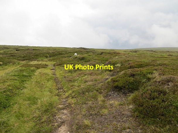 Photo 6"x4" Minigaig path Minigaig c2013
