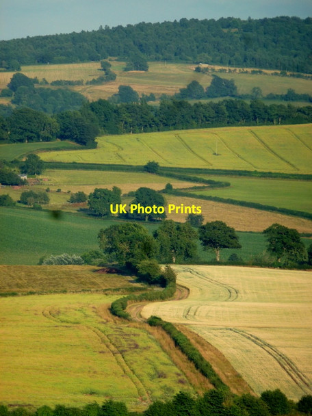 Photo 6"x4" A slice of Herefordshire Bromsash c2013