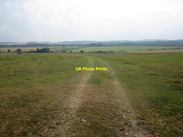 Photo 6"x4" Grass field west of Buckton Detchant c2013