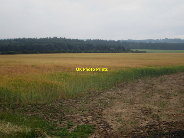 Photo 6"x4" Arable field west of Buckton Detchant c2013