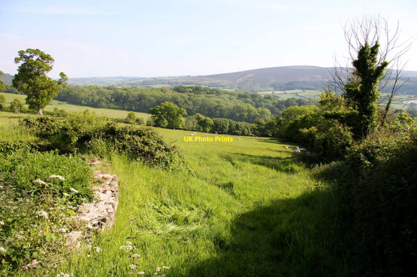 Photo 6"x4" Field opposite Selworthy church Blackford\/SS9245 c2013