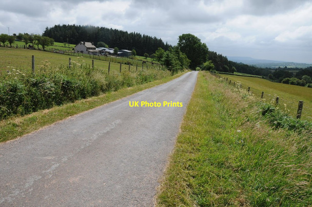 Photo 6"x4" Road near Wern Agavenny Archenfield c2013