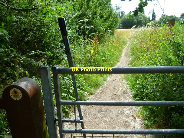 Photo 6"x4" Orange Way after Wiltshire (255) Wallingford c2013