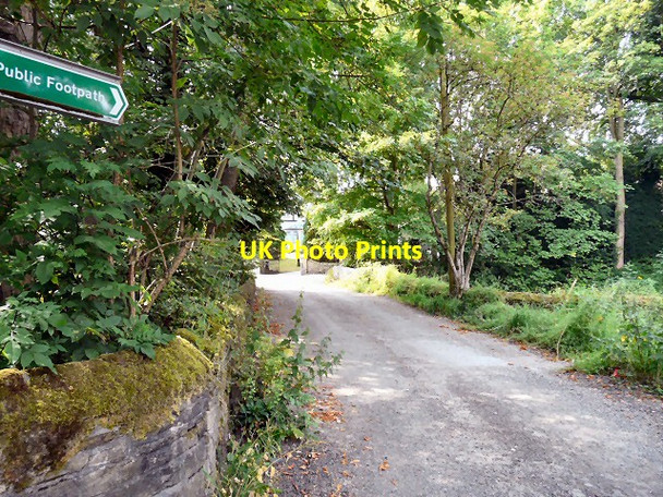 Photo 6"x4" Brookfold Lane Hyde\/SJ9494 c2013