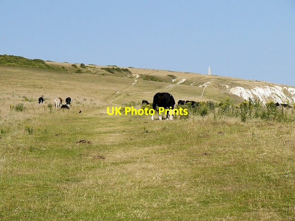 Photo 6"x4" The Coastal Path, Bembridge Down Yaverland\/SZ6185 c2013
