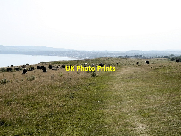 Photo 6"x4" The Coastal Path, View Towards Sandown Yaverland\/SZ6185 c2013