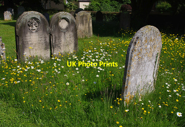 Photo 6"x4" Graveyard, All Saints church Church Green\/TM0691 c2013