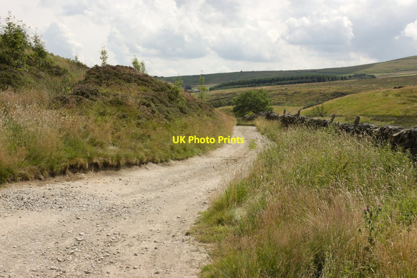 Photo 6"x4" Bridleway to Sun Side Ashfold Side c2013