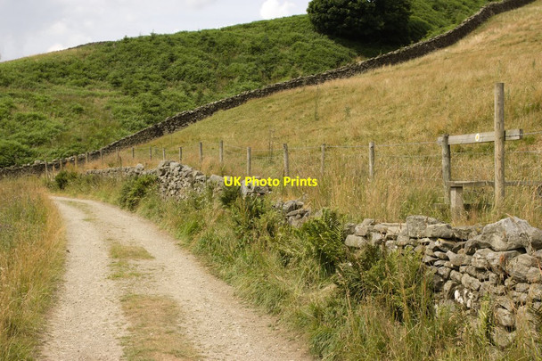 Photo 6"x4" Nidderdale Way, Ashfold Side Ashfold Side c2013