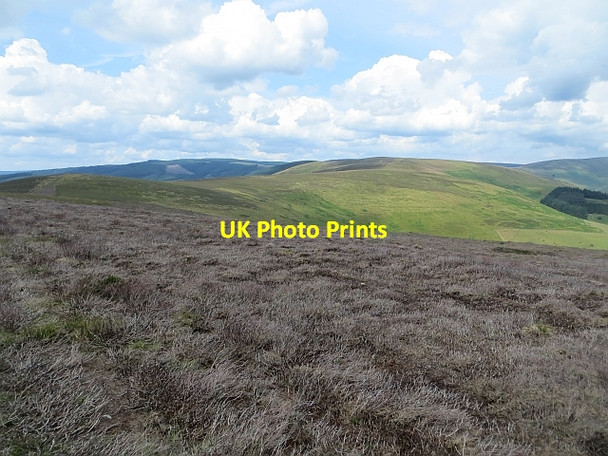 Photo 6"x4" North side of Lee Pen Cardrona c2013