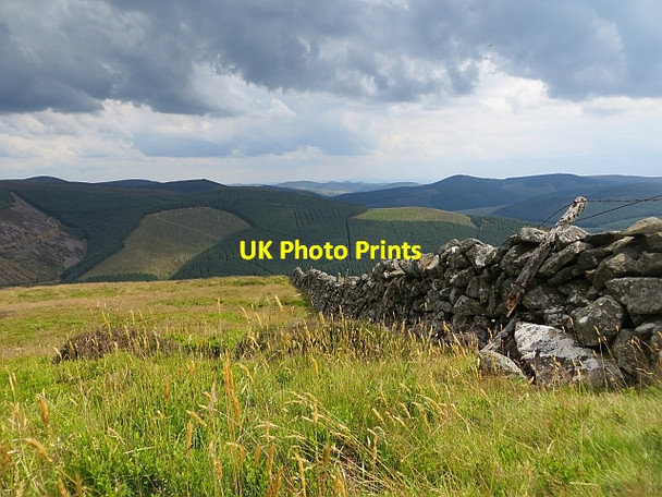 Photo 6"x4" Dyke, Lee Pen Innerleithen c2013