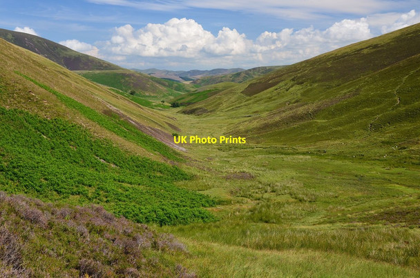 Photo 6"x4" Valley of the Holms Burn Tweedsmuir c2013