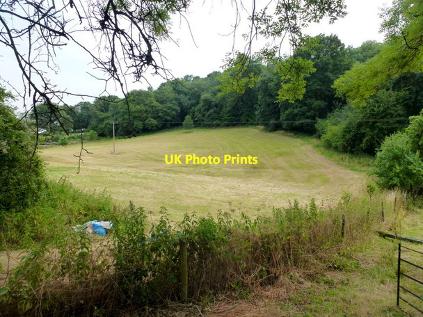 Photo 6"x4" Pasture land by Kiln Wood Dursley Cross c2013