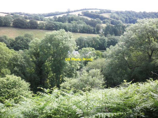 Photo 6"x4" View over the upper Exe Valley Withycombe\/SS8835 c2013