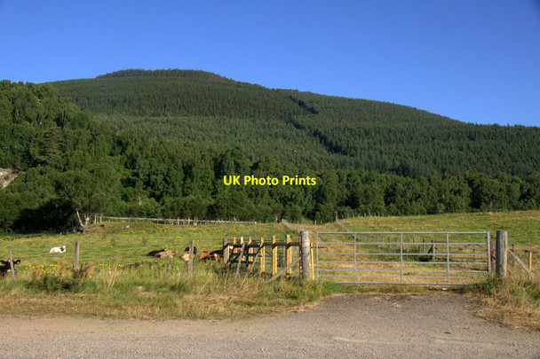 Photo 6"x4" Beinn Ghuilbin from Laggantygown Kinveachy c2013