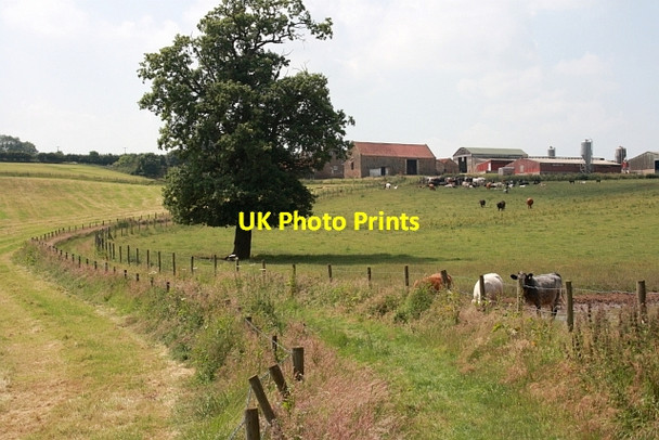 Photo 6"x4" Moor House Farm Wiganthorpe c2013