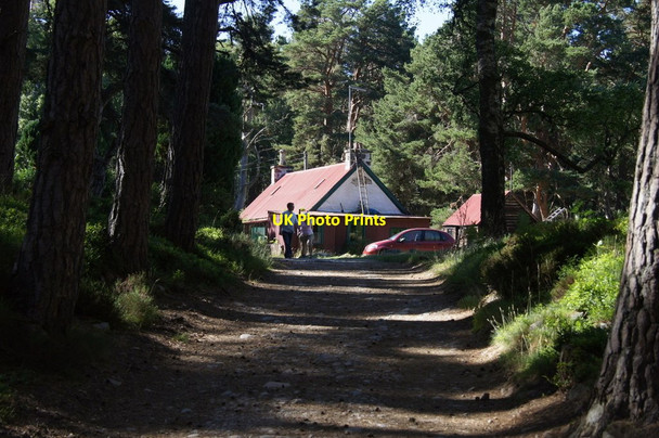 Photo 6"x4" Forest Cottage, Loch an Eilein Coylumbridge c2013