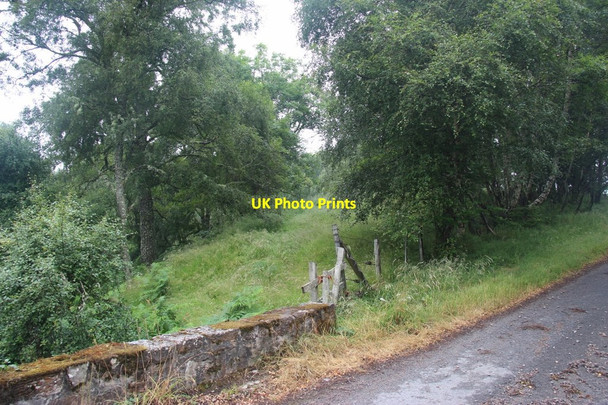 Photo 6"x4" Woods at the bridge over Cassie Burn Leanach\/NH7544 c2013