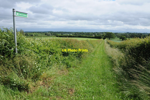 Photo 6"x4" Bridleway to Lower Hook The Hook c2013