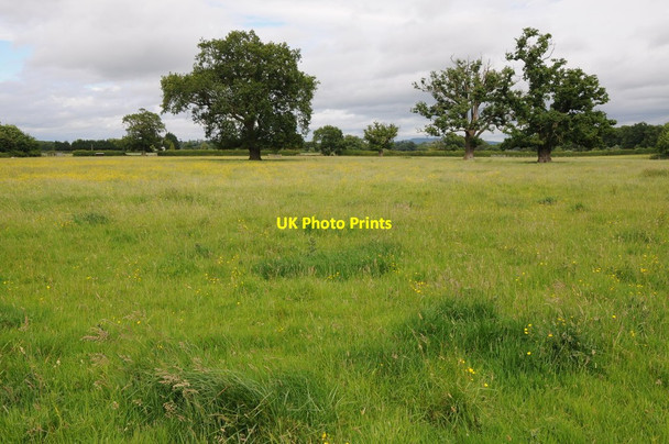 Photo 6"x4" Farmland at Lower Hook Duckswich c2013