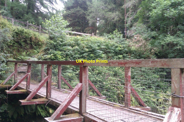 Photo 6"x4" Footbridge over Ross River Killavullen c2013