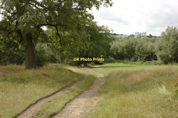 Photo 6"x4" Bridleway to Oatlands Harrogate c2013