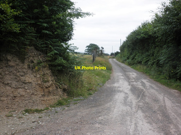 Photo 6"x4" Farm Access road, Higher Knaplock Withycombe\/SS8835 c2013