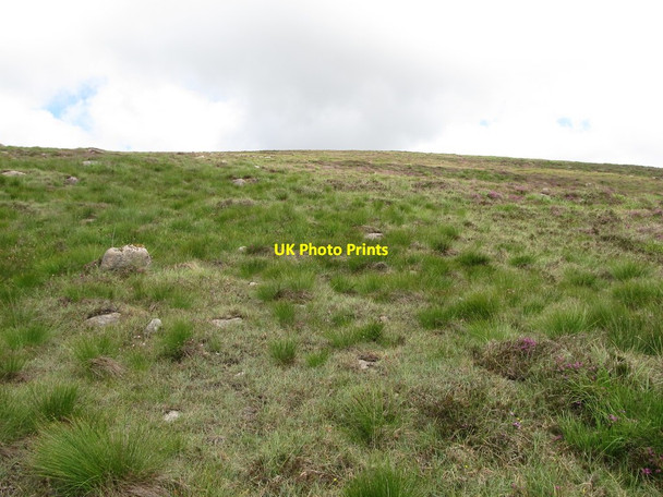 Photo 6"x4" Tussocky grass on The Creaghts Attical c2013