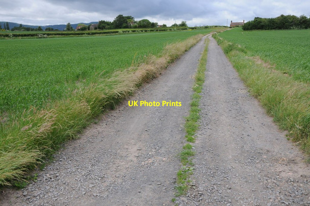 Photo 6"x4" View up the drive from Lower Hook Farm The Hook c2013