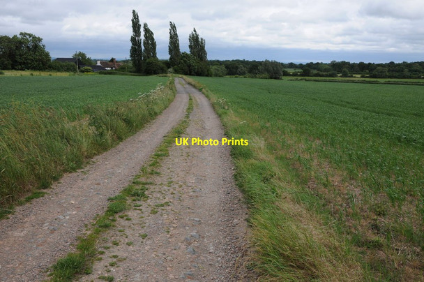 Photo 6"x4" Drive to Lower Hook Farm The Hook c2013
