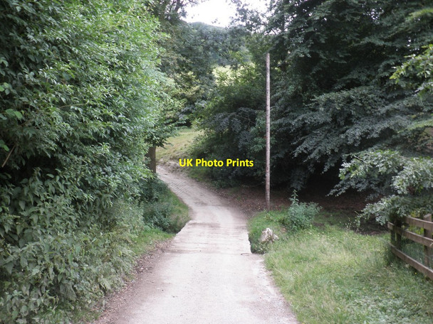 Photo 6"x4" Concrete bridge, over the Winn Brook Withycombe\/SS8835 c2013